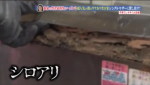 2018年9月25日放送の「幸せボンビーガール」vol.1