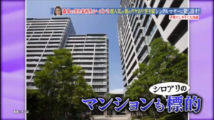 幸せボンビーガールシロアリ09