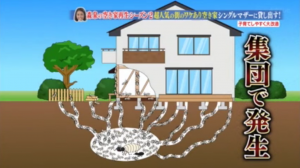 幸せボンビーガールシロアリ02