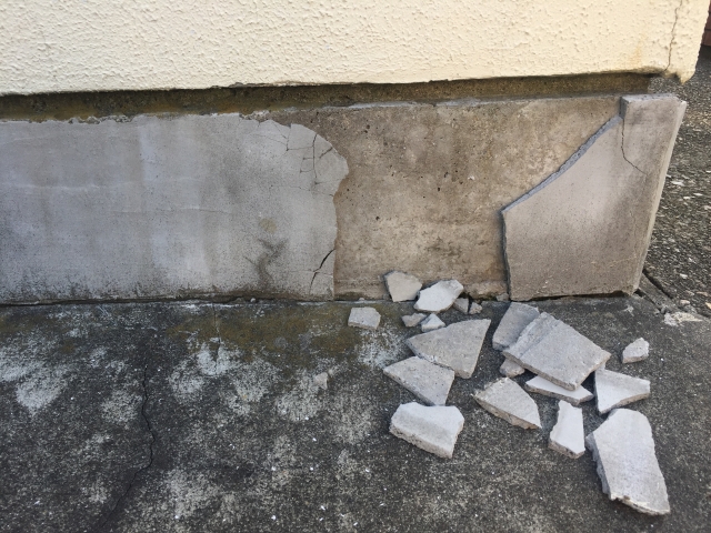 春先がシロアリ対策適期！防除処理で大切な建物を守る