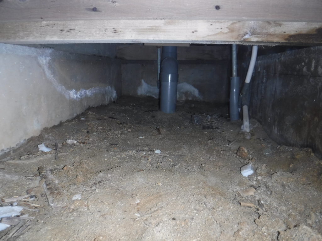 宗像市シロアリ調査で建物の被害が分かる01