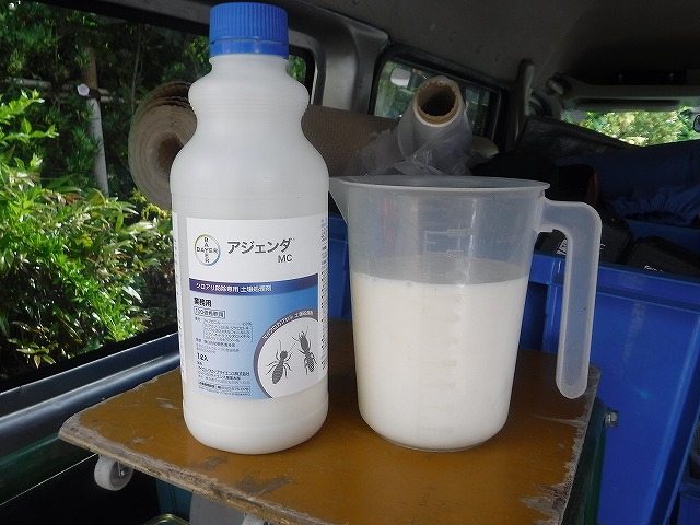 見つけたら駆除しよう！福岡にも多いシロアリ被害への対策