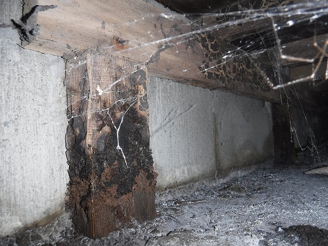 木造アパートのシロアリ床下調査03