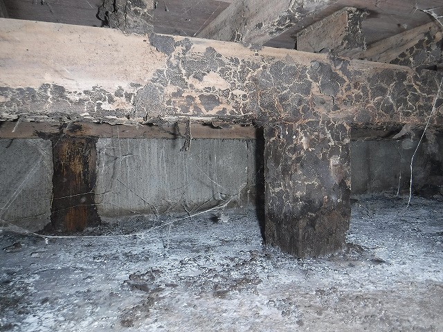 木造アパートのシロアリ床下調査02