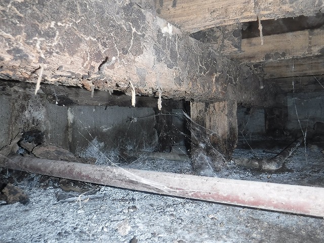 木造アパートのシロアリ床下調査04