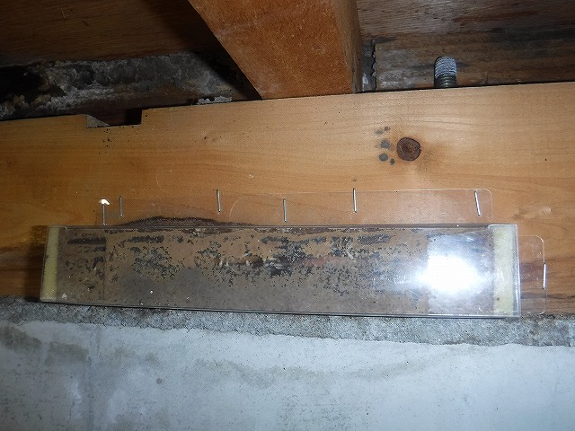 シロアリベイト剤