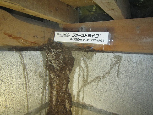 基礎部分のシロアリ蟻道