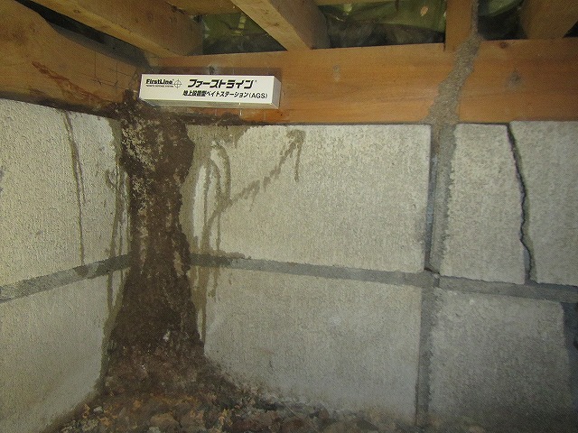 基礎部分のシロアリ蟻道