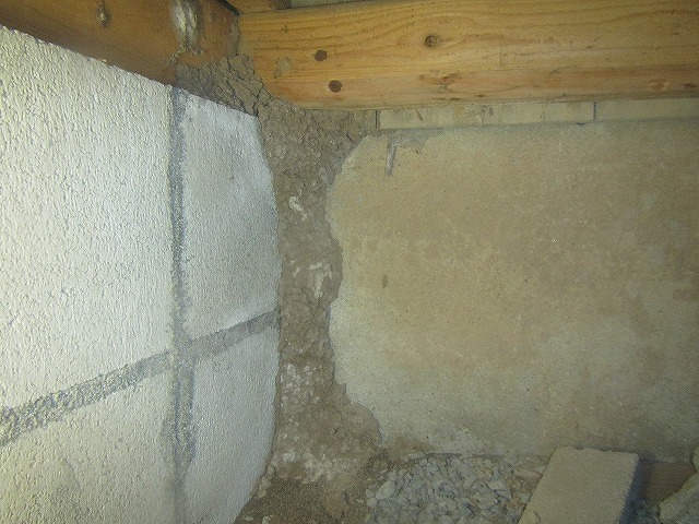 基礎部分のシロアリ蟻道