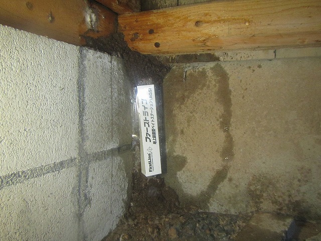 基礎部分のシロアリ蟻道
