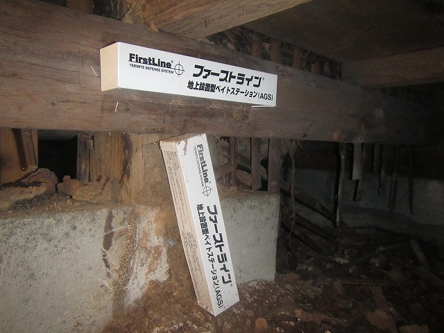 イエシロアリ駆除のモニタリング