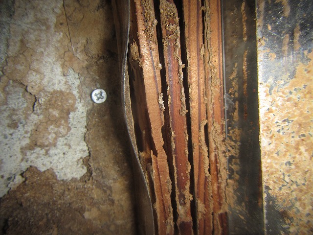 イエシロアリベイト工法