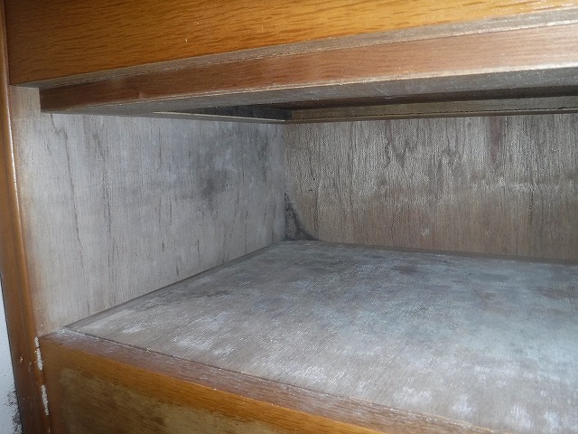 宗像市シロアリ調査2