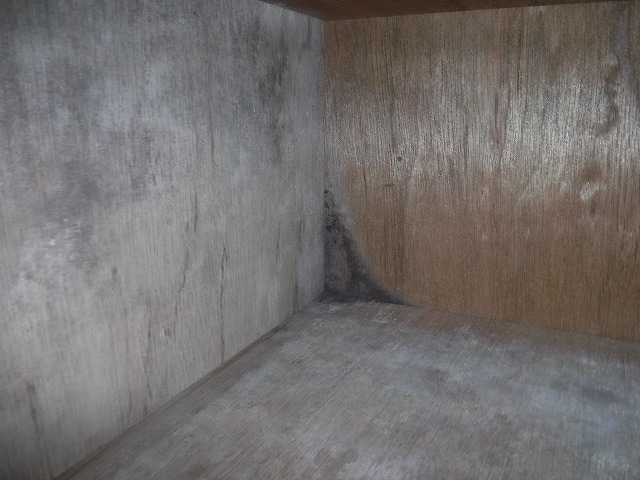 宗像市シロアリ調査3