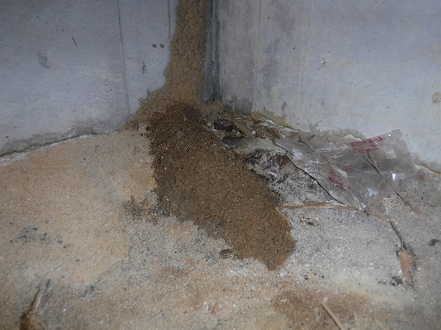 宗像市シロアリ駆除ベイト設置