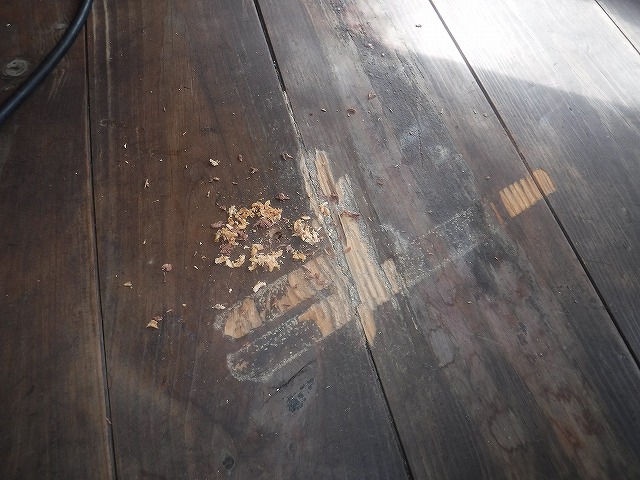 テナントのシロアリ駆除 | 福岡市