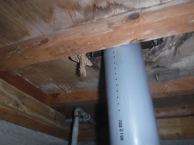 北九州市シロアリ中間点検04