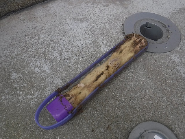  ベイトステーション | 北九州市若松区 