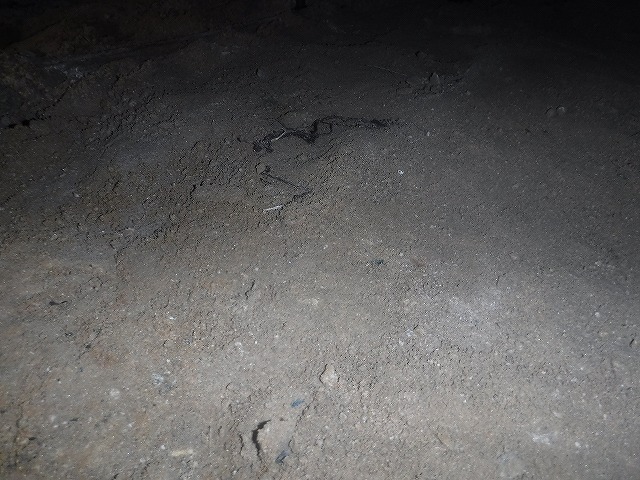 筑紫野市床下換気工事3