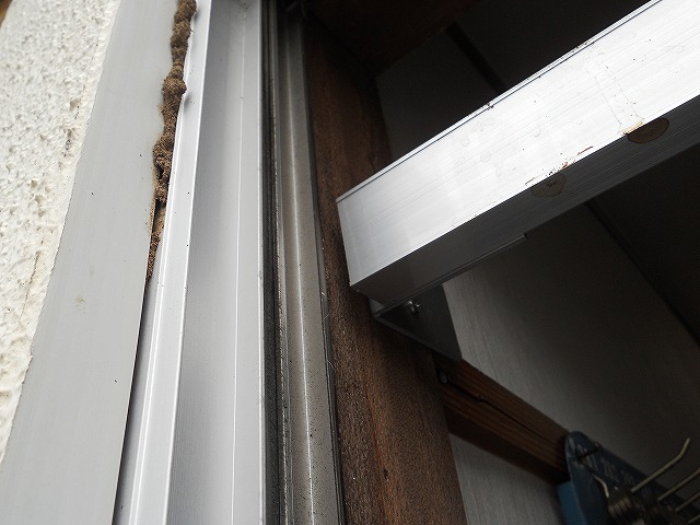 福岡市城南区の事務所シロアリ調査04