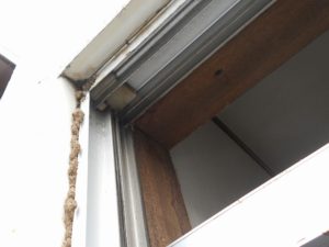 福岡市城南区の事務所シロアリ調査05