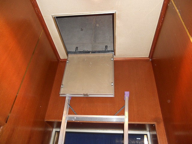 福岡市 | 飲食店天井裏のシロアリ調査01