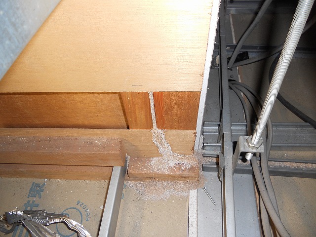 福岡市 | 飲食店天井裏のシロアリ調査03