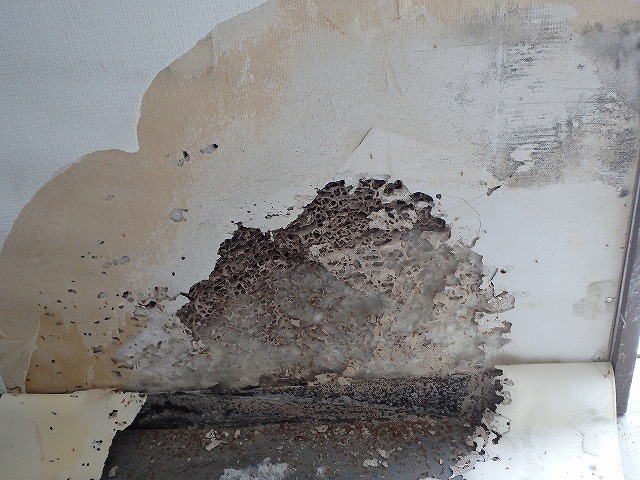 福岡市博多区の事務所の調査　