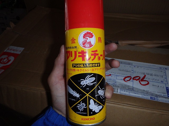 福岡市博多区事務所のシロアリ調査05