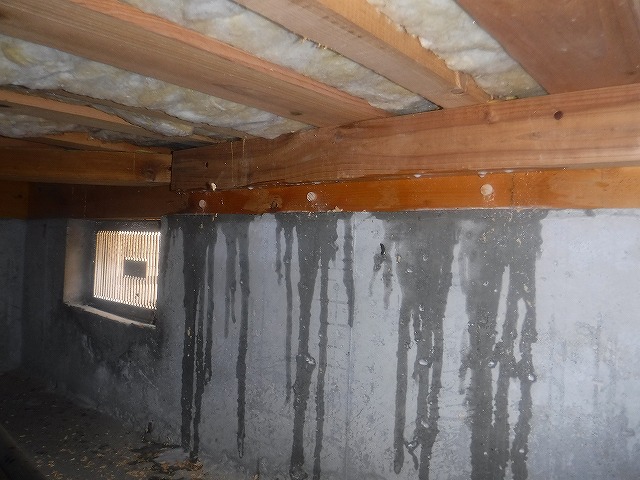 宇美町シロアリ予防消毒工事5