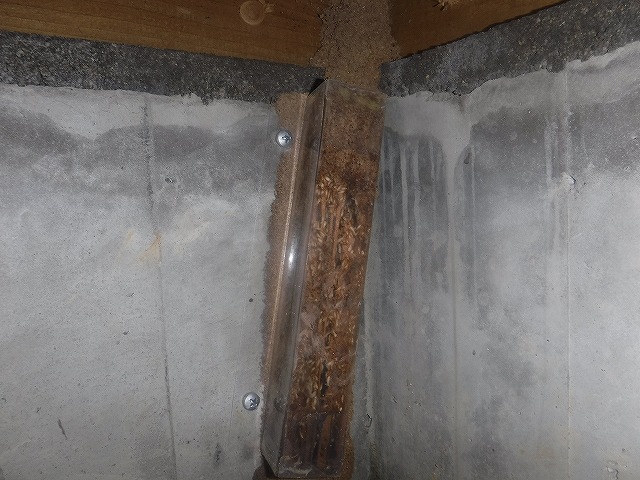 宗像市シロアリベイト点検