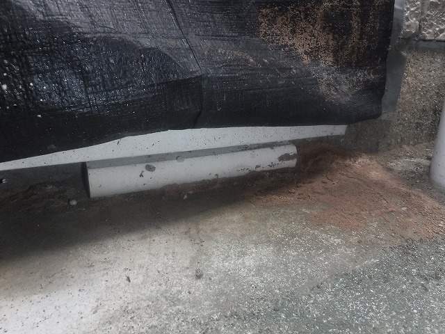 福岡市博多区イエシロアリ駆除現場