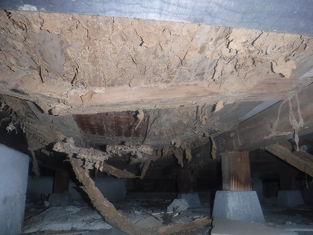 福岡県のシロアリの住宅の土台への被害