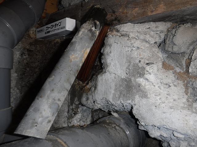 ベイトの経過観察 | 中間市