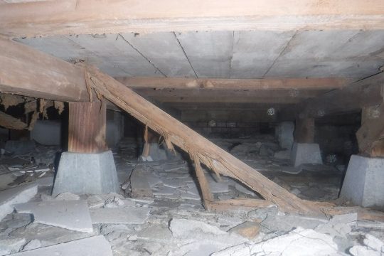 筑紫野市シロアリ床下調査02