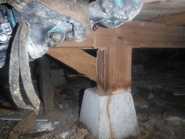 福岡県シロアリ穿孔注入処理01