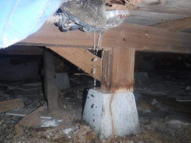 福岡県シロアリ穿孔注入処理01