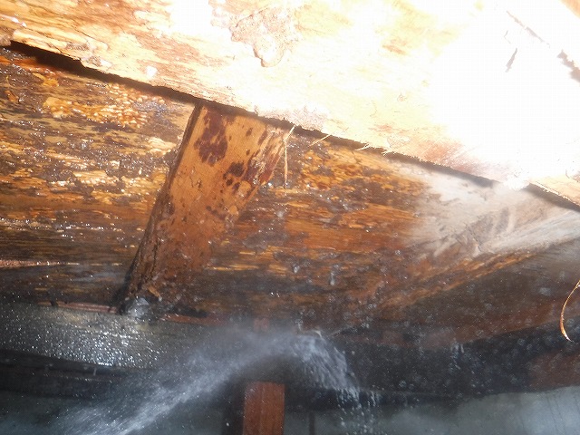 福岡県シロアリ穿孔注入処理01