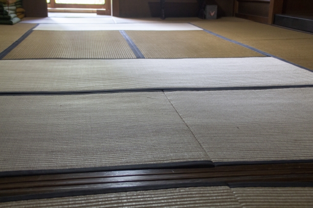 福岡にお住まいでシロアリ駆除を考えている方