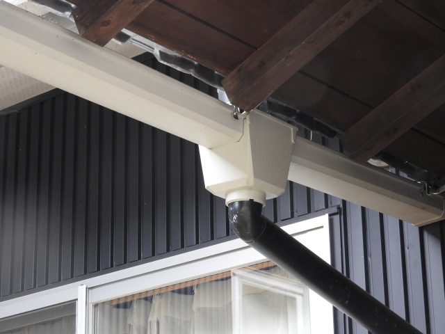 福岡県などに生息するシロアリ対策