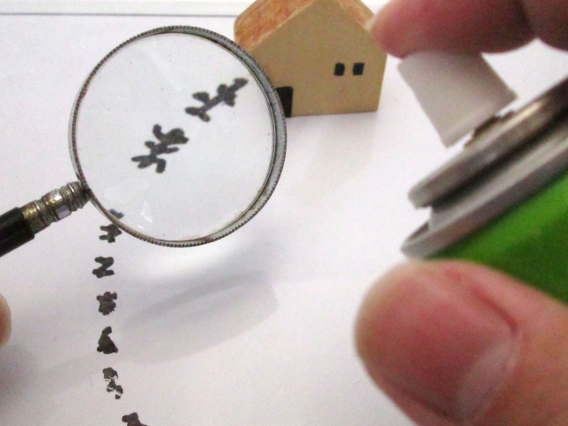 福岡のシロアリ対策事情vol.2