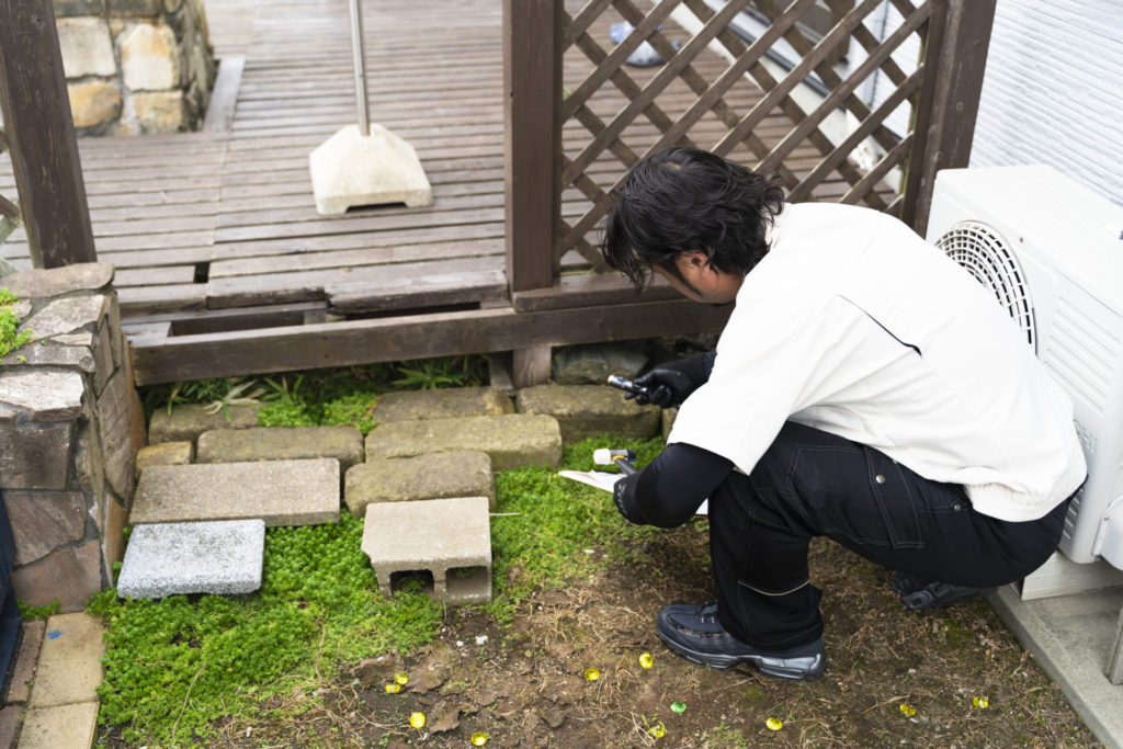 自宅の敷地内に発生するシロアリ被害の特徴と対処方法